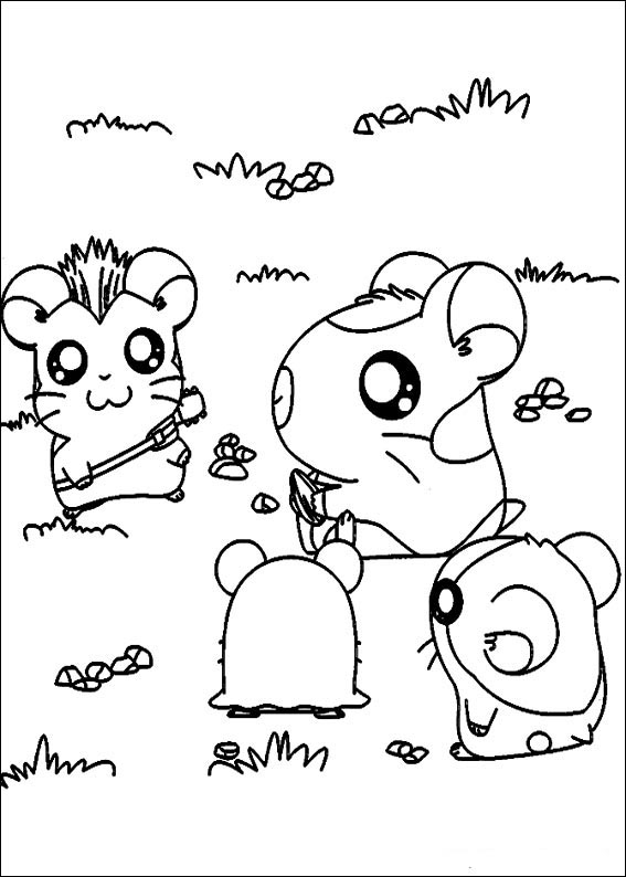 Hamtaro 17