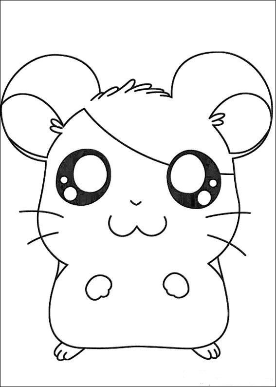 Hamtaro 18