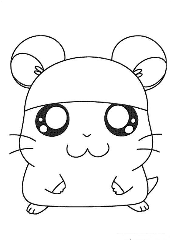 Hamtaro 23