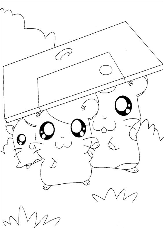 Hamtaro 24