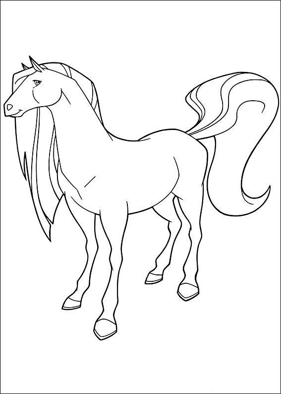 Horseland 13
