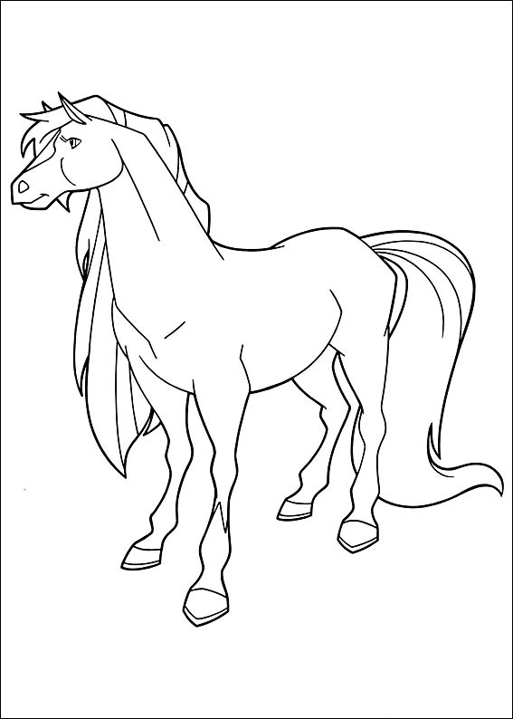 Horseland 14