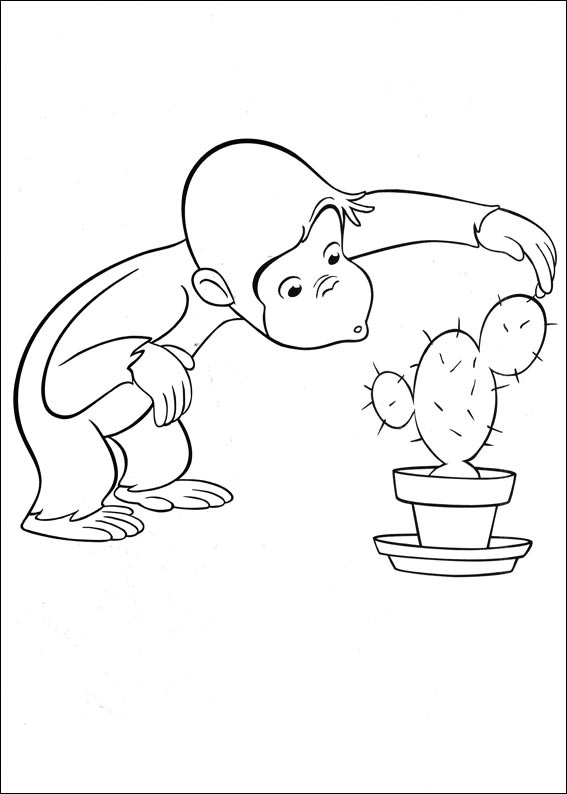 Kíváncsi George 42
