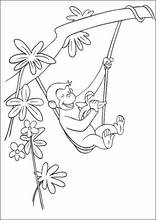 Curioso come George34