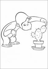Curioso come George42