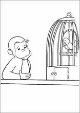 Curioso come George57