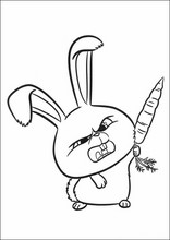 펫32
