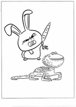 펫38