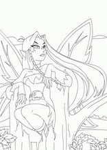 네오펫츠36
