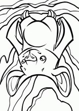 네오펫츠49