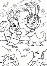네오펫츠78