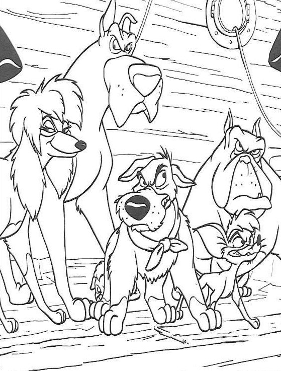 Oliver & Company 52