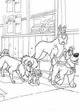 Oliver & Company47