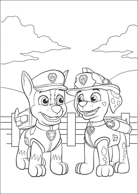 Paw Patrol 12