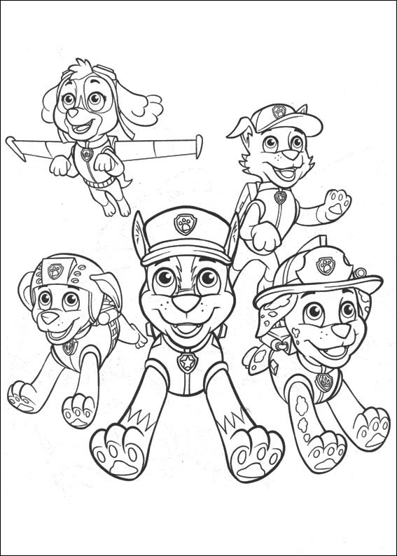 Paw Patrol 13