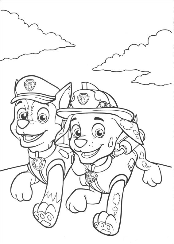 Paw Patrol 15