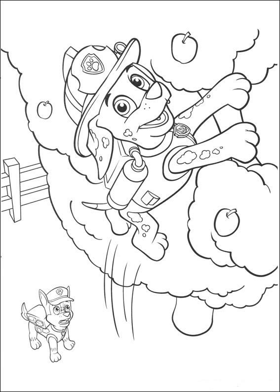 Paw Patrol 16