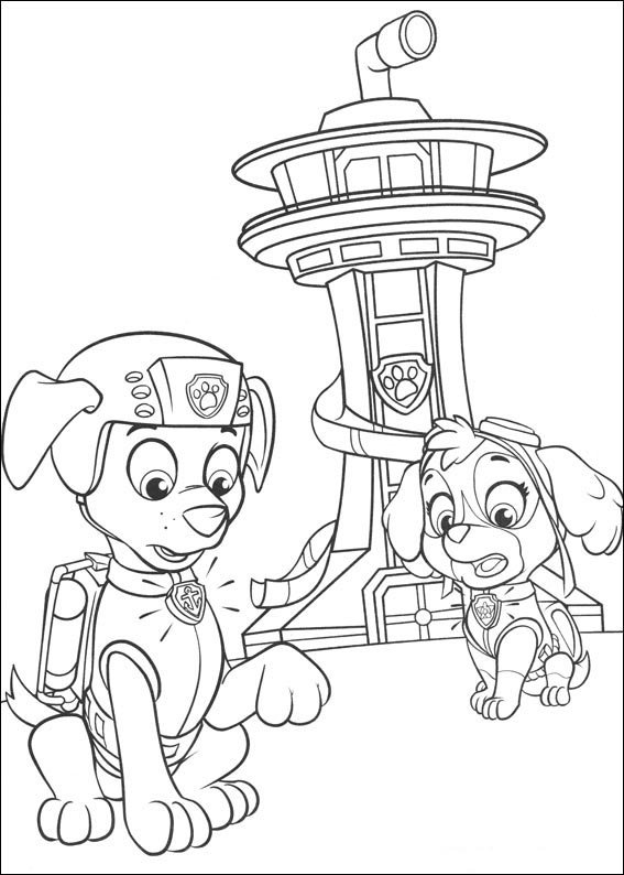 Paw Patrol 17