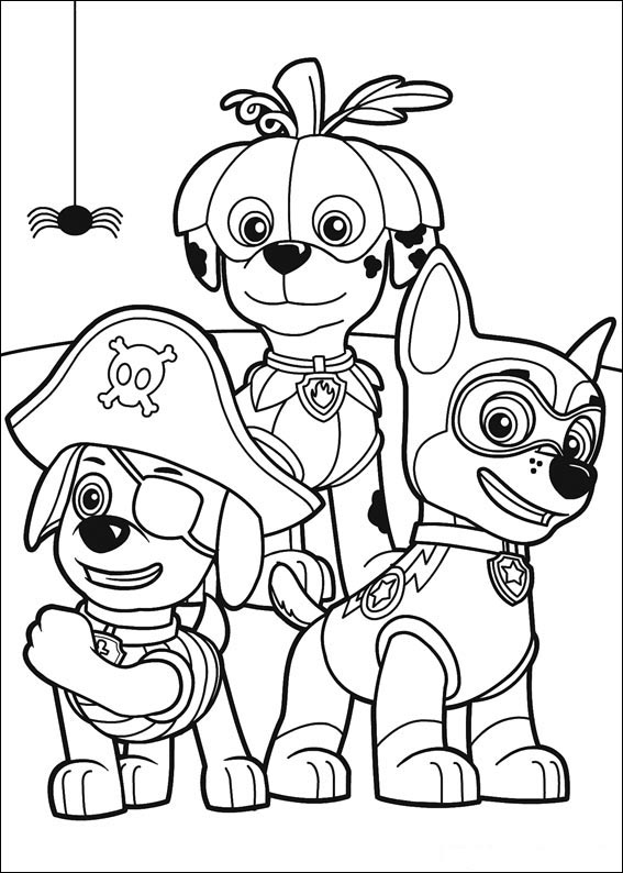 Paw Patrol 3