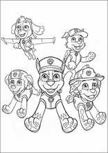 Paw Patrol13