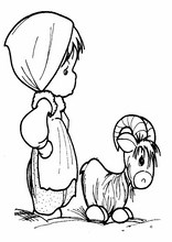 人类16