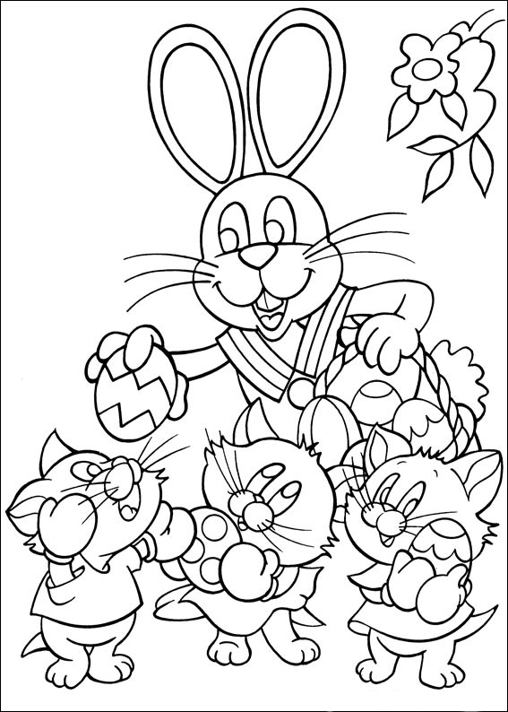 Peter Cottontail 15