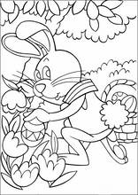 Peter Cottontail12