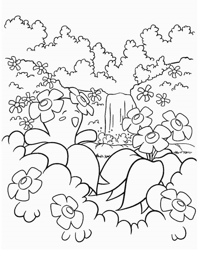 포켓몬 21