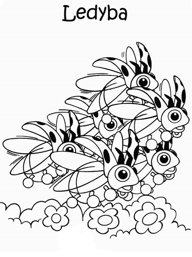 포켓몬 42