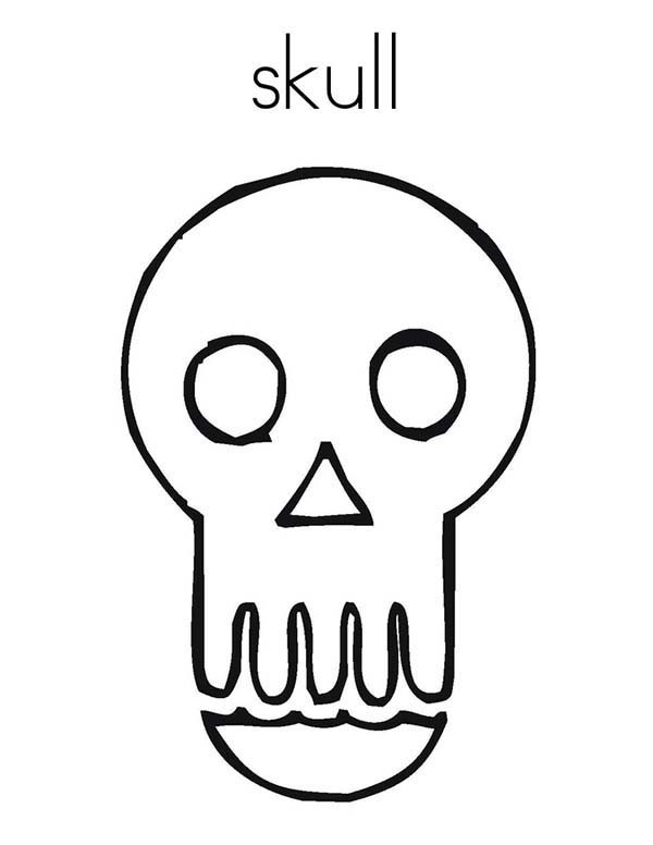 Skull 19