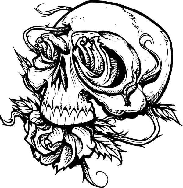 Skull 25