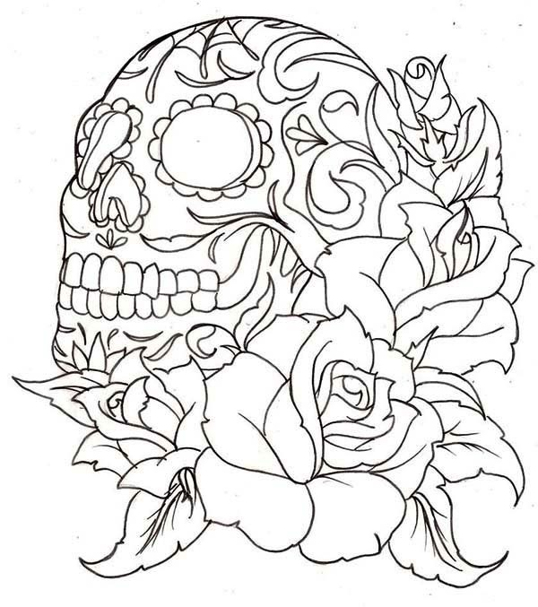 Calavera 27