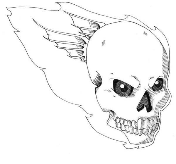 Hodeskaller 3