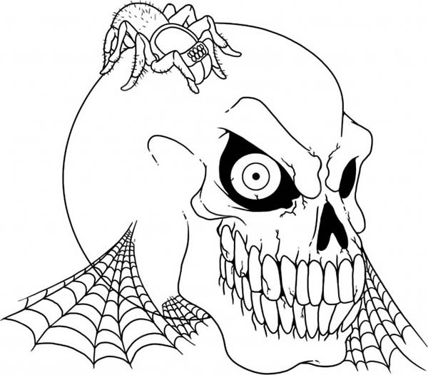 Skull 30