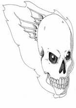 Skull3