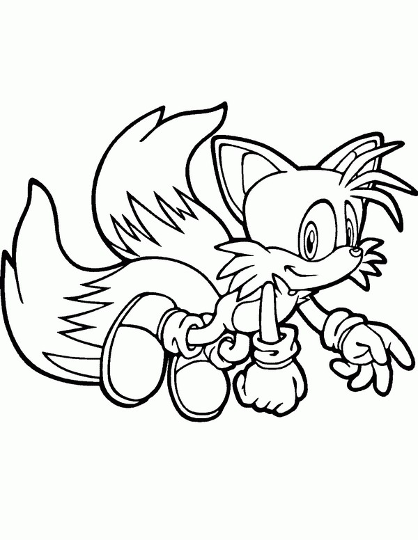 Sonic 24
