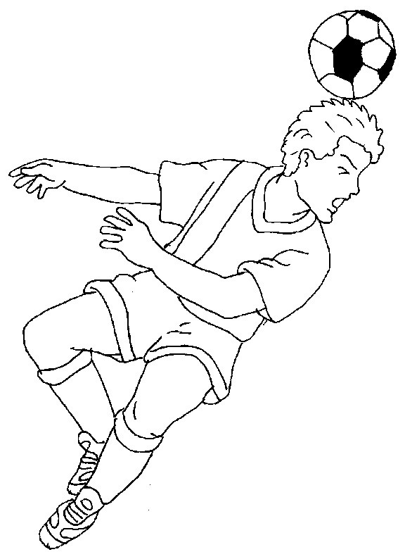 Sporter 29
