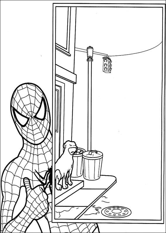 Spiderman 53