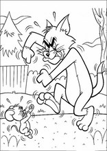 Tom und Jerry81
