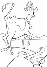 Mucche alla riscossa28