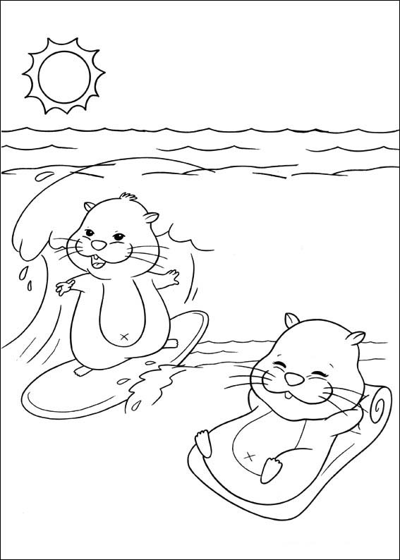 珠珠宠物 3