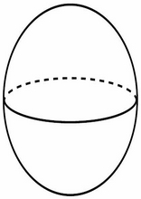 Formas Geométricas23