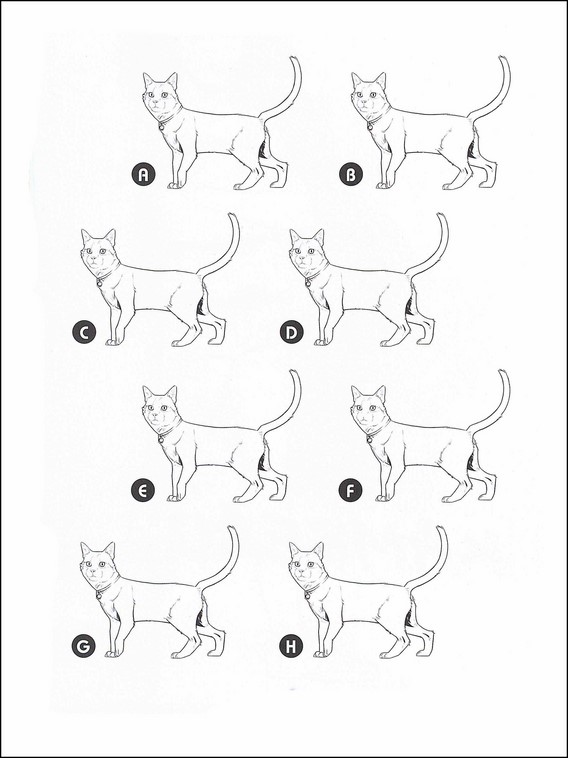 Trouvez l'ombre Différente 2