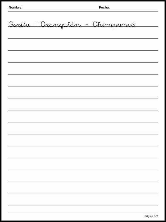 Calligraphie lignes simples pour apprendre l'espagnol 69