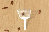 game Cockroach killer