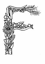 Alphabet83